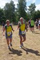 De aflossingszone 2013 - 093